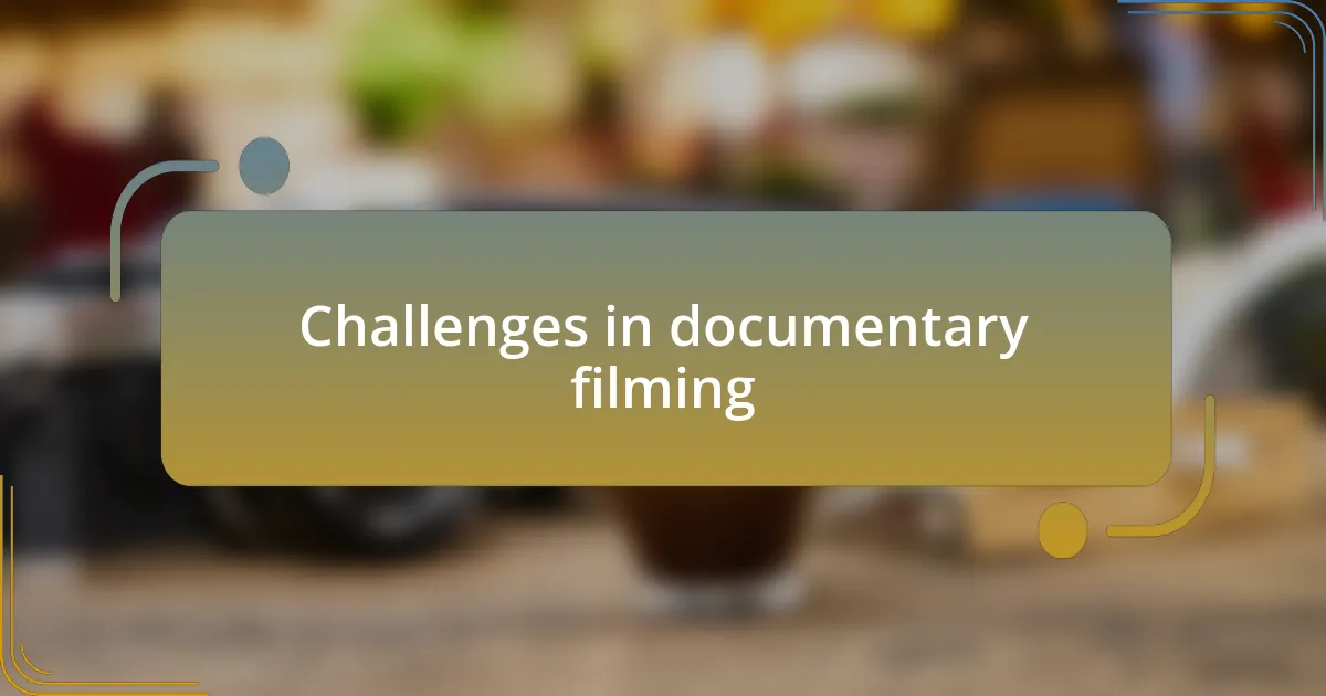Challenges in documentary filming