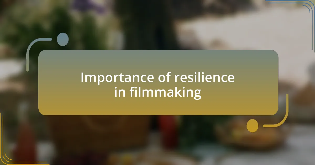 Importance of resilience in filmmaking