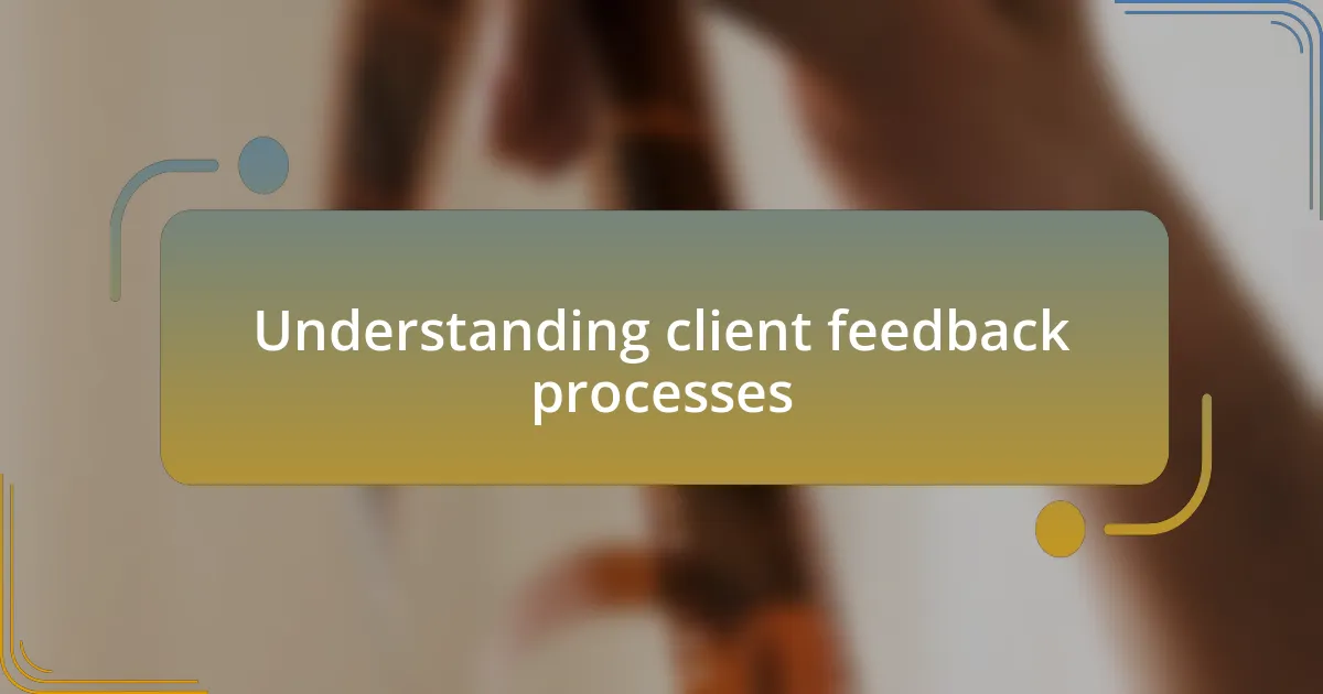 Understanding client feedback processes